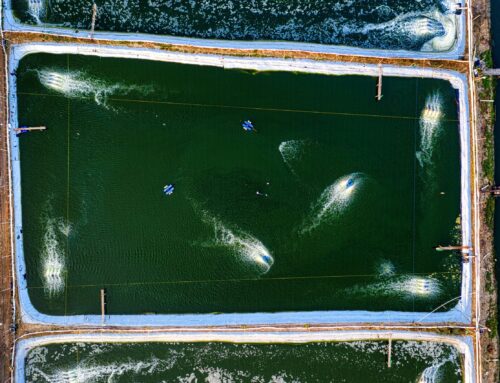 The Ultimate Guide to Industrial Pond Liners: A Professional’s Guide to Water Containment