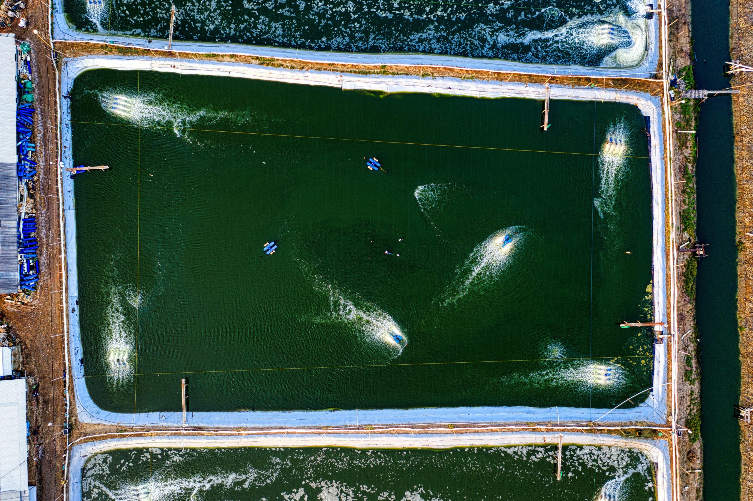 High-angle aerial view of a rectangular green aquaculture pond with several paddlewheel aerators churning the water into white foam.