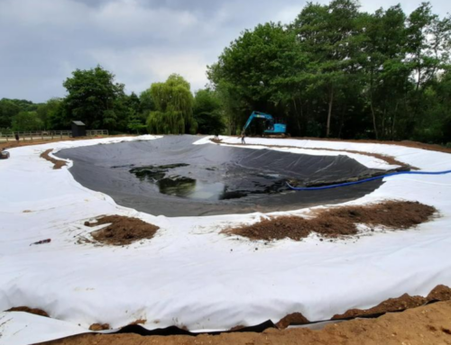Our Pond Liner Installation Process: A Step-by-Step Guide