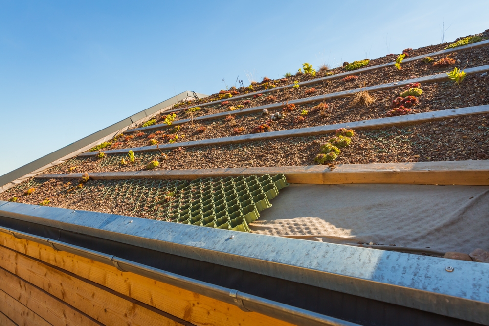 Concept of green roofing