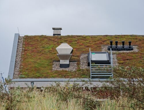 Green Roofs Explained: Benefits, Costs & Maintenance for Commercial Buildings